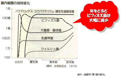 腸内細菌の経時変化