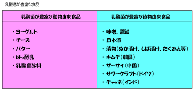 乳酸菌が豊富な食品